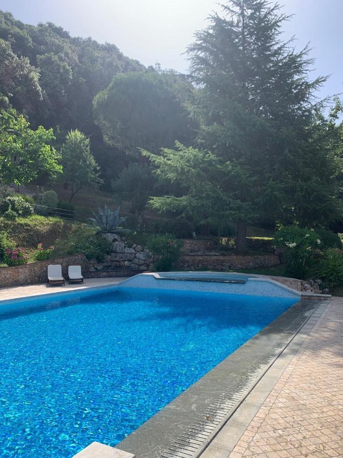La Terrazza Sulla Versilia Pietrasanta Bagian luar foto