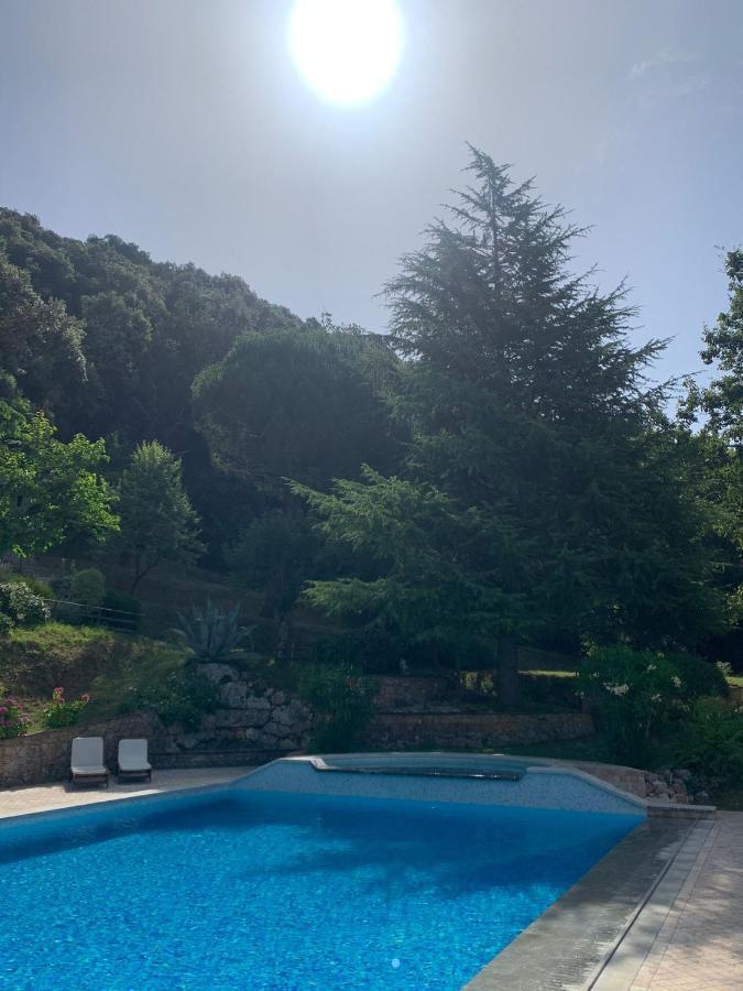 La Terrazza Sulla Versilia Pietrasanta Bagian luar foto