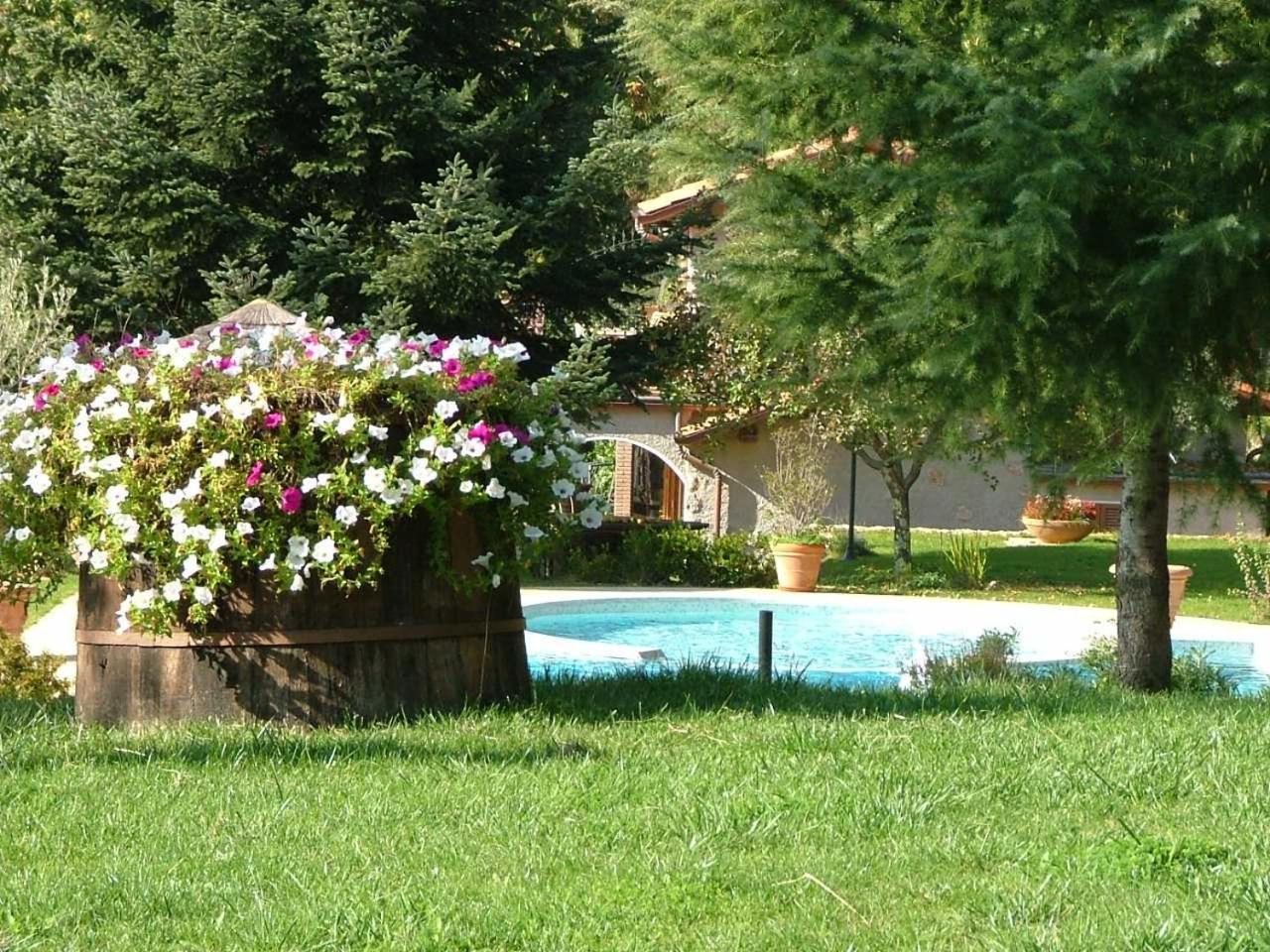 La Terrazza Sulla Versilia Pietrasanta Bagian luar foto
