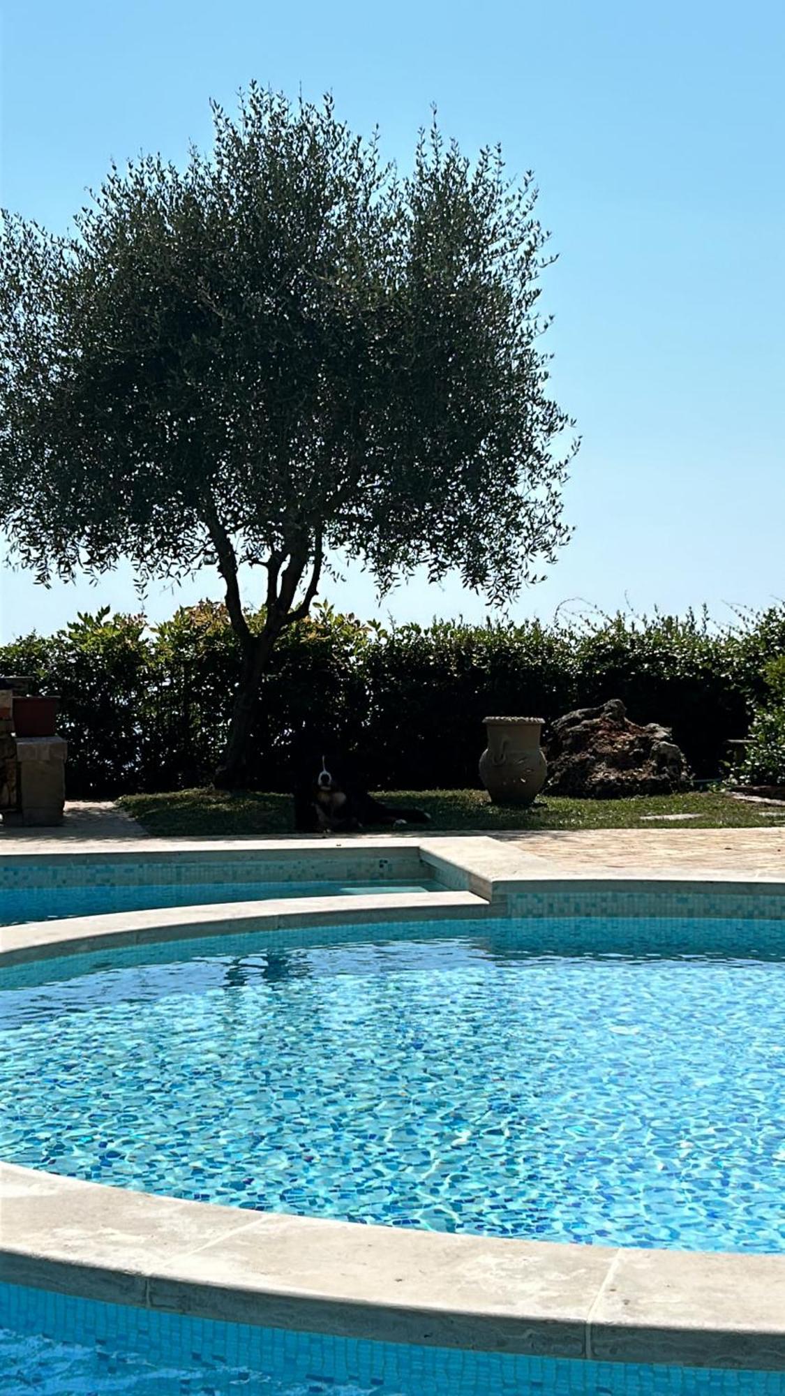 La Terrazza Sulla Versilia Pietrasanta Bagian luar foto