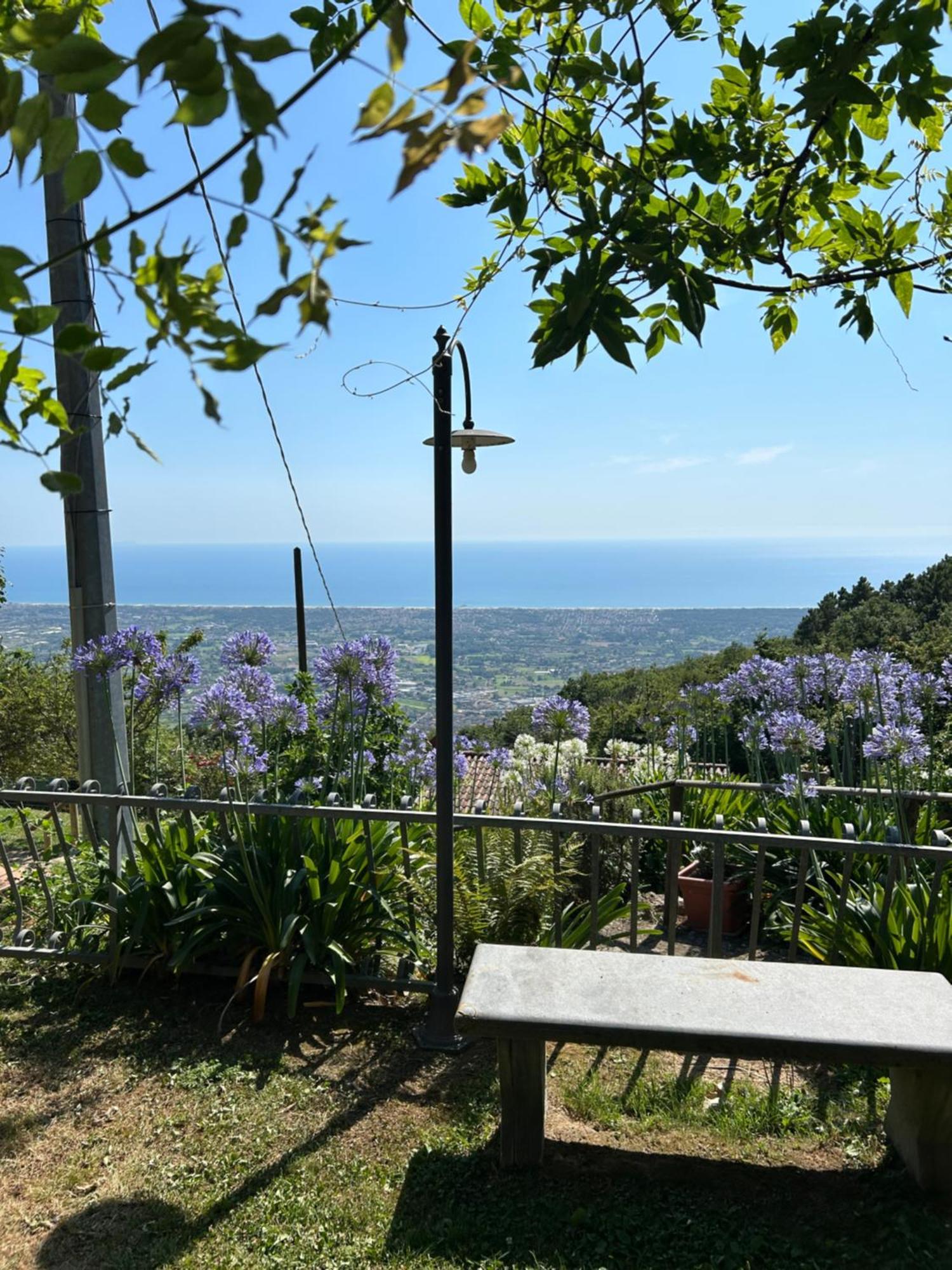 La Terrazza Sulla Versilia Pietrasanta Bagian luar foto
